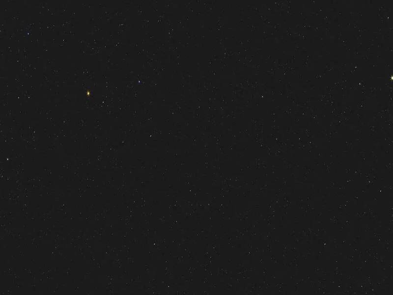 Stellar Night